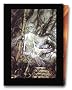 La Graine de folie, coffret 2 volumes