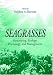 Book Seagrasses: Monitoring, Ecology, Physiology, and Management (Marine Science Series)