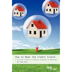 How to Beat the Credit Crunch: A Survival Guide for Property Investors & Landlords