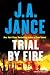 Trial by Fire: A Novel of Suspense
