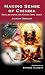 Book Making Sense of Chindia: Reflections on China and India