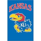 Kansas Jayhawks NCAA Applique Banner Flag (44x28)