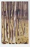 IMAGE OF Bosque IV PREMIUM GRADE Rolled CANVAS Art Print Jesus Barranco 27x40