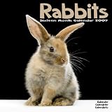 2009 Rabbits Wall Calendar
