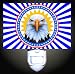 United States Eagle Decorative Night Light