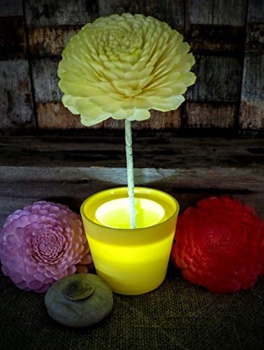 Glow Vase - White Vase w/Blue Light