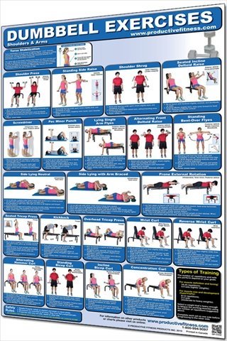 Productive Fitness Publishing Dumbbell Poster - Upper Body
