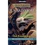 Die Legende vom Dunkelelf: Der Piratenk�nig von R.A. Salvatore
