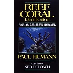 Reef Coral Identification: Florida, Caribbean, Bahamas (Reef Set S)