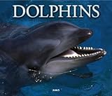 Dolphins 2005 Deluxe Wall Calendar image