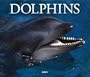 Dolphins 2005 Deluxe Wall Calendar