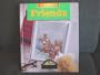Invitation to Literacy . Friends By Houghton Mifflin.