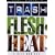 Trash / Flesh / Heat