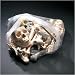 Large Bag of Bones for Halloween - 10 Pounds (BONES1)
