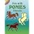 Fun with Ponies Stencils (Dover Little Activity Books)
