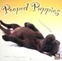 Pooped Puppies Calendar