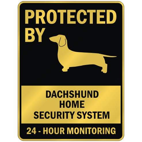 PROTECTED BY DACHSHUND HOME SECURITY SYSTEM PARKING SIGN DOG