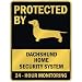 PROTECTED BY 