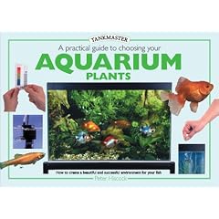 A Practical Guide to Choosing Aquarium Plants