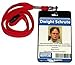 The Office TV show Dwight Schrute Dunder Mifflin official ID Badge prop