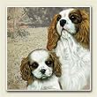 AbsorbaStone Coaster set~ Cavalier King ~4 Tile Drink Coasters ~ code 764C