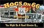 Hogs on 66 Postcards