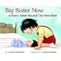 Big Sister Now: Story About Me and Our New Baby