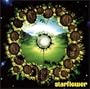 STARFLOWER: Celebrating The Spirit of Brian Wilson & The Beach Boys