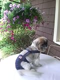 Joybies Patriotic Denim Piddle Pants(tm) for XX Large Female Dog (Measuring 22
