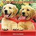 golden_retriever4golden retriever - Golden Retriever Puppies 2010 Mini Wall Calendar