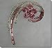 Pink Swirls Crystal Pin B1S33