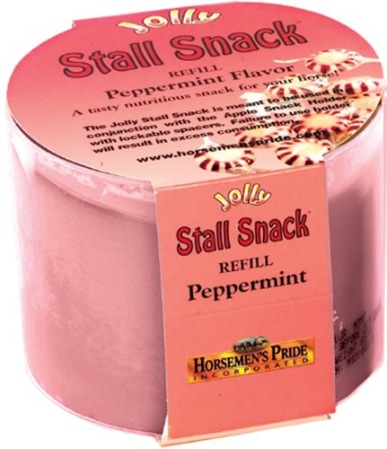 Jolly Pet Treat refill for Stall Snack holder Mint