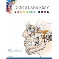 Dental Anatomy Coloring Book