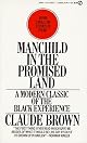 Manchild in the Promised Land