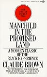 Manchild in the Promised Land