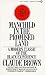 Manchild in the Promised Land: A Modern Classic of the Black Experience