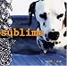 Search Our Specialty Mall : Sublime