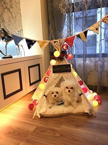 Pet Kennels Pet Play House Dog Cats Play Tent Size Small