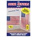 American Flag Scene Setters 2pc