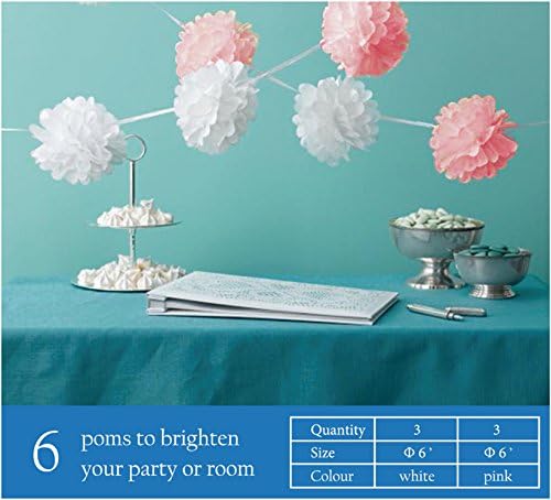 Plumeria Rubra @ Crafts Garland 6 Pcs 6-foot Garlands Small Pom Poms Contains 3 Pcs Pink and 3 Pcs White