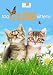 Too Cute Kittens
