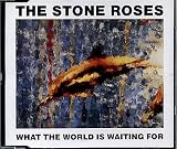 What the world is waiting for