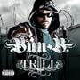 You're Everything [Feat. Rick Ross, David Banner and 8-Ball & MG] (Explicit Album Version)