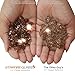Golden Flame 20-Pound Fire Glass 1/2-Inch Rich-Copper Reflective