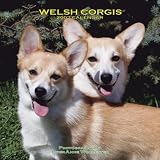 Welsh Corgis 2007 Calendar