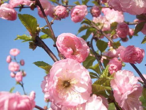 Olympus Digital Camera - 24