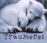 Träumerei-Musik Zum Geniessen