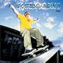 Skateboarding 2003 Calendar