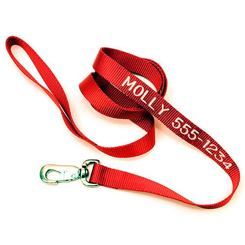 Childrens Toyshop  Sporting Goods : 6-foot Nylon Pet Leash (w/out embroidery)