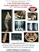 A 3D Multimedia Approach to the Diagnosis of Low Back Pain, Vol. 1: 18 & 40 Year Old Males, a Book CD Combo